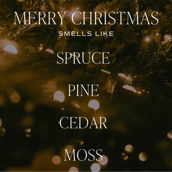 ๐๐๐๐๐ ๐๐๐๐๐๐๐๐๐ - ๐ ๐๐ - Picture 3 of 4